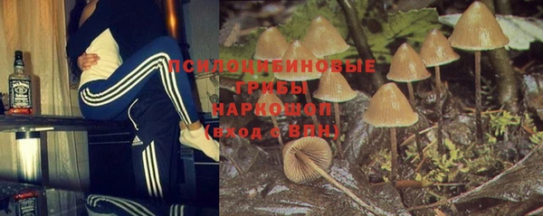 молекула духа Михайлов
