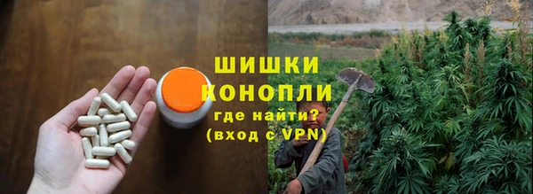 молекула духа Михайлов