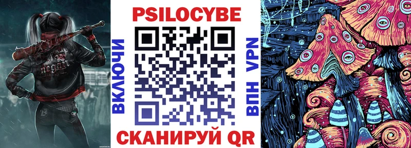 дарнет шоп  маркетплейс формула  Галлюциногенные грибы Cubensis  Мосальск 